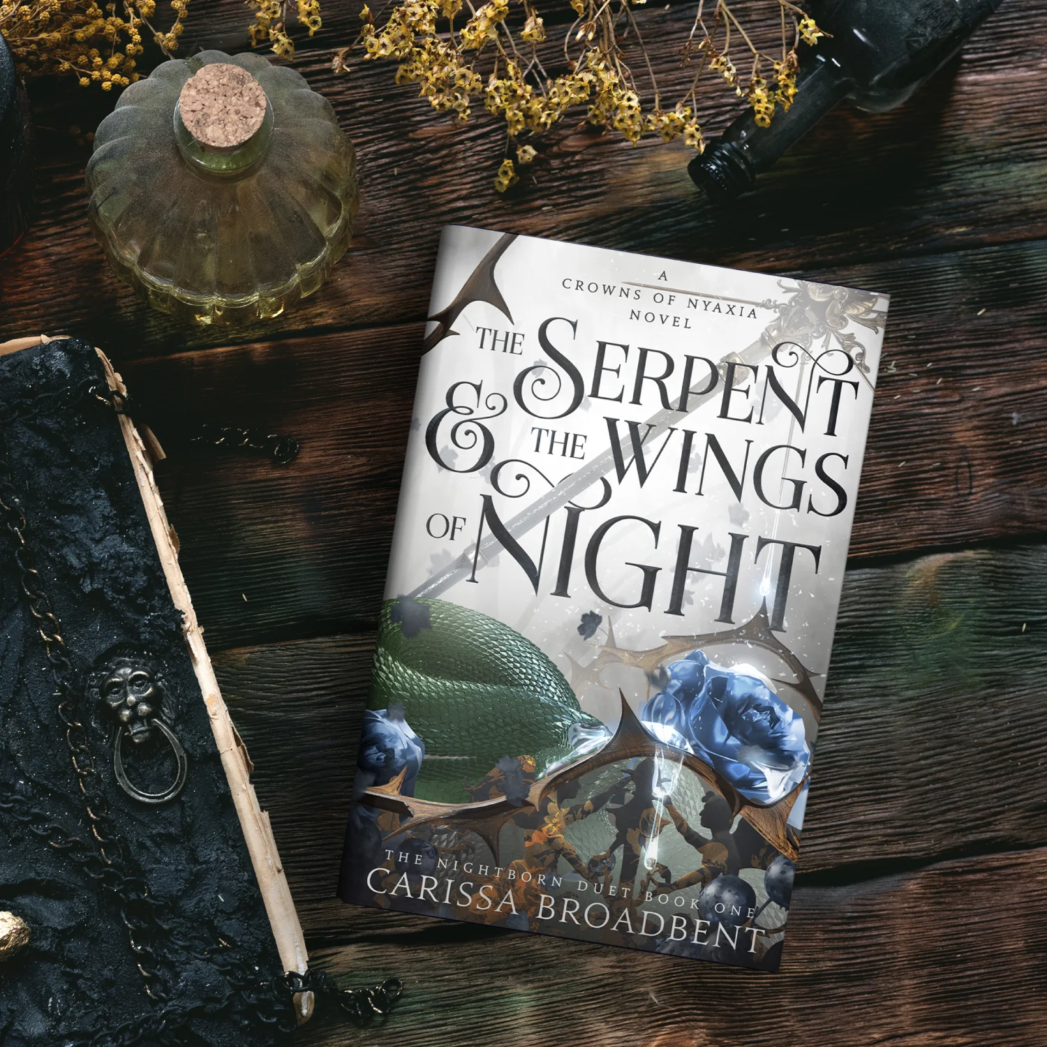 The Serpent & the Wings of Night (#1)