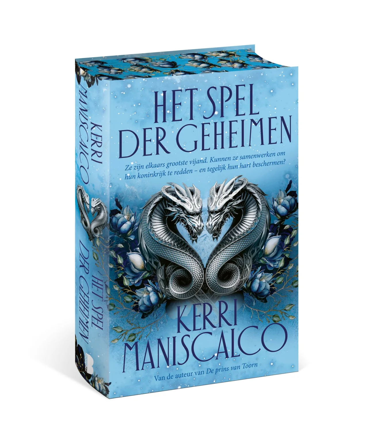 Het Spel der Geheimen - Image 2